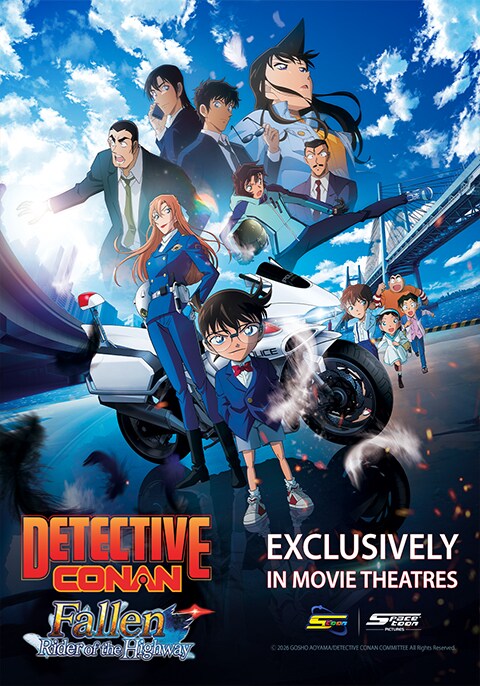 Detective Conan 29